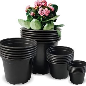 Round Plant Pot