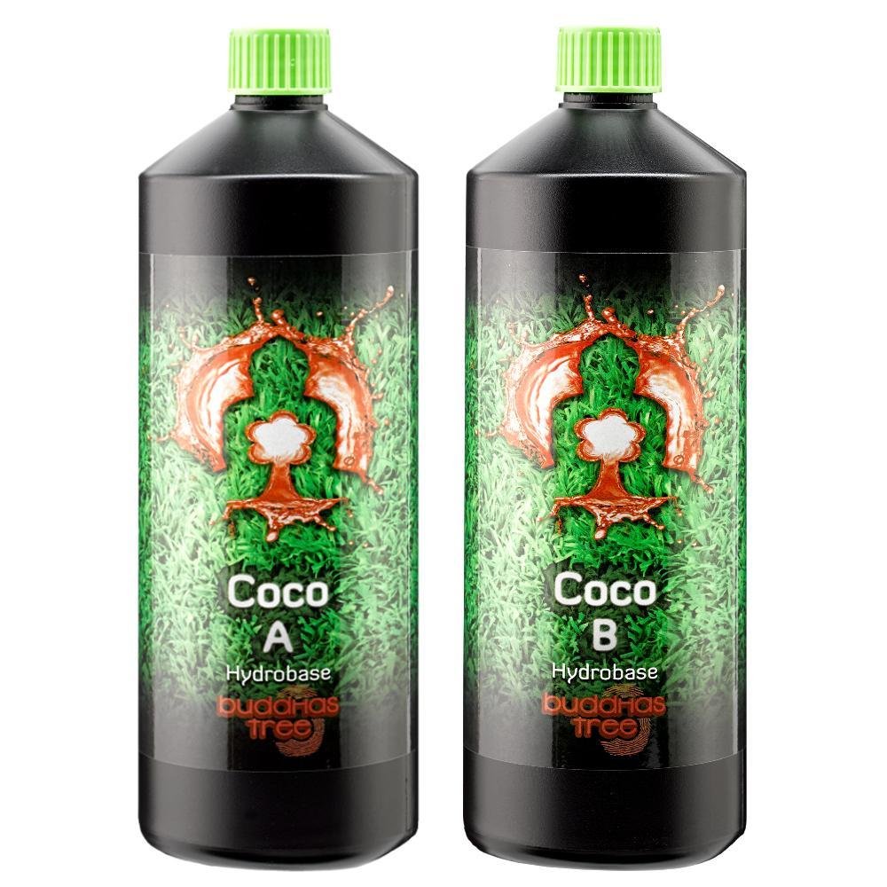 Buddhas Tree Coco A&B