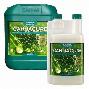 CANNACURE