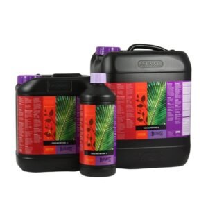 Atami BCuzz Coco A&B