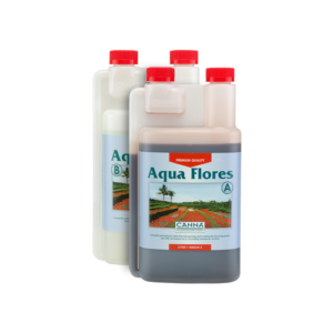 Canna Aqua Flores A&B