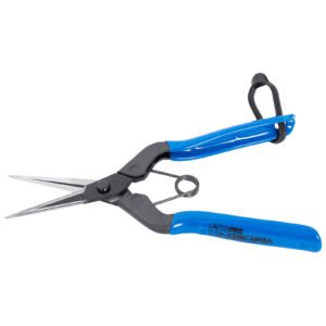 Chikamasa TS5 Scissors